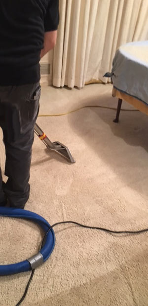 Bedroom Carpet Cleaning in Bellview