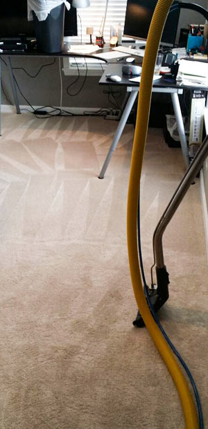 Deep Carpet Cleaning in Southern Terrace
