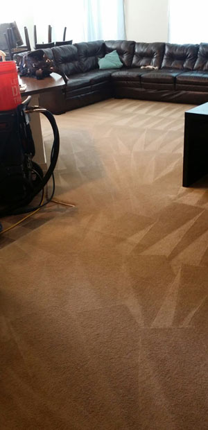 Living Room Professional Cleaning in Lakeside